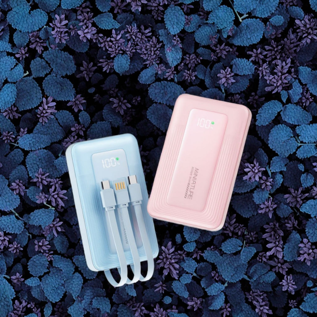 Power Bank